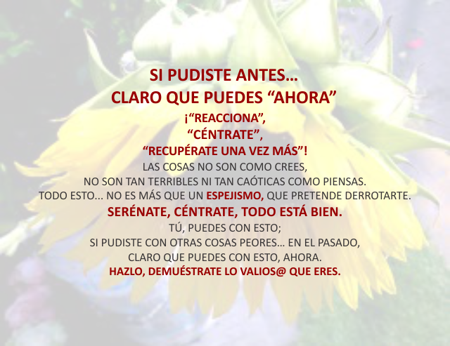 Si pudiste antes... Claro que puedes 